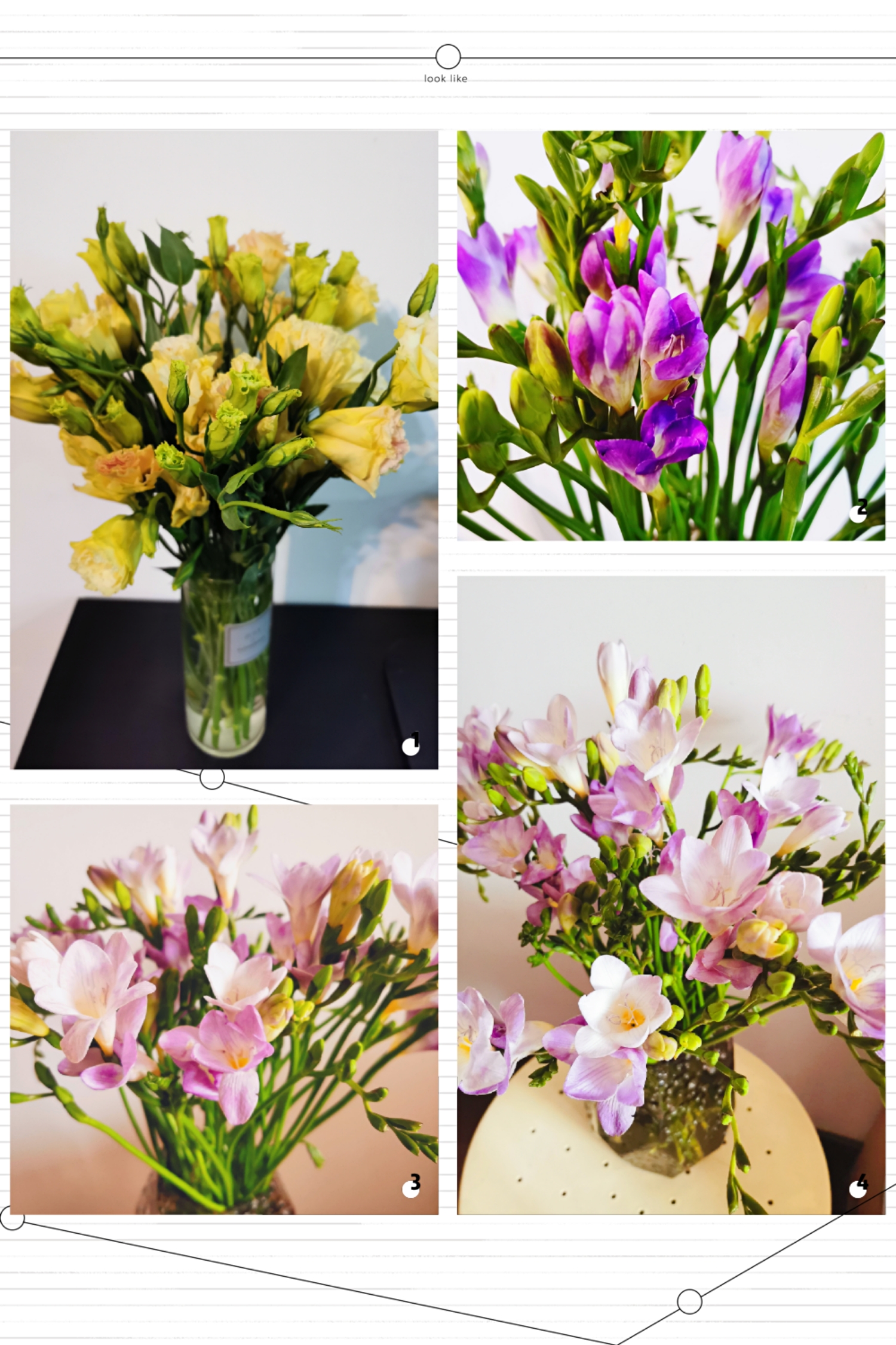 Happy Women’s Day | 戰(zhàn)疫時期，這個三八節(jié)，我們“e”起過！